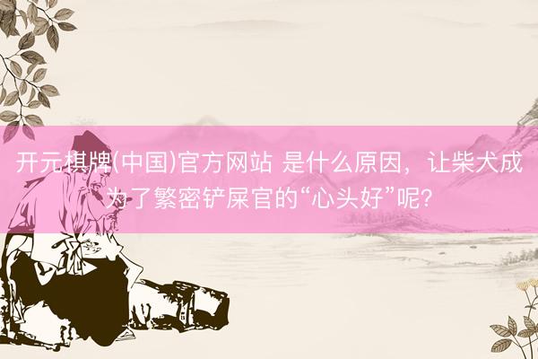 开元棋牌(中国)官方网站 是什么原因，让柴犬成为了繁密铲屎官的“心头好”呢？