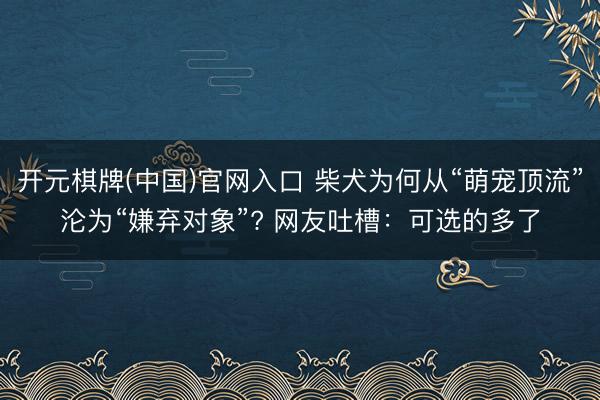 开元棋牌(中国)官网入口 柴犬为何从“萌宠顶流”沦为“嫌弃对象”? 网友吐槽：可选的多了