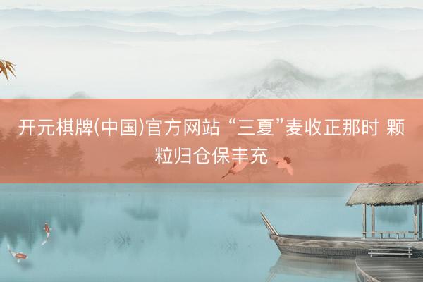 开元棋牌(中国)官方网站 “三夏”麦收正那时 颗粒归仓保丰充