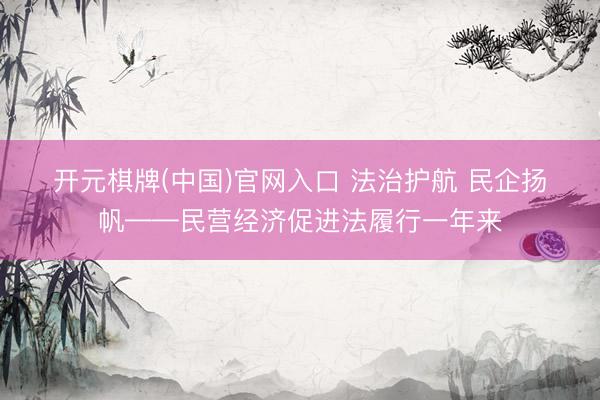 开元棋牌(中国)官网入口 法治护航 民企扬帆——民营经济促进法履行一年来