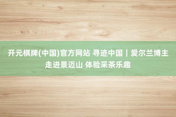开元棋牌(中国)官方网站 寻迹中国｜爱尔兰博主走进景迈山 体验采茶乐趣