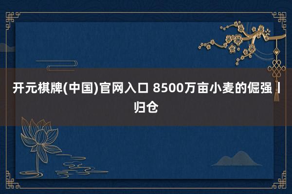 开元棋牌(中国)官网入口 8500万亩小麦的倔强丨归仓