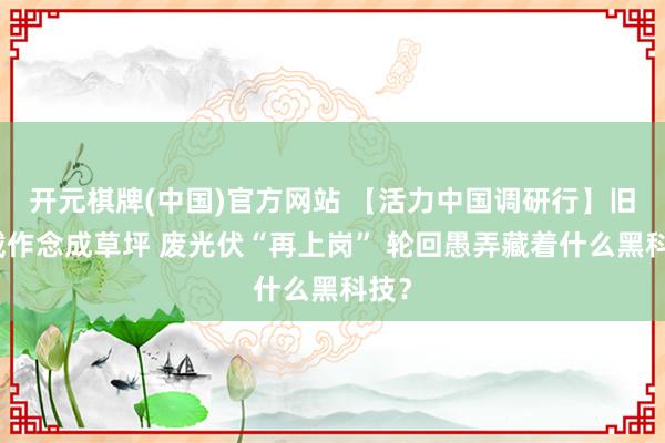 开元棋牌(中国)官方网站 【活力中国调研行】旧穿戴作念成草坪 废光伏“再上岗” 轮回愚弄藏着什么黑科技？